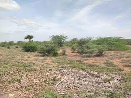 Waste lands can be registered