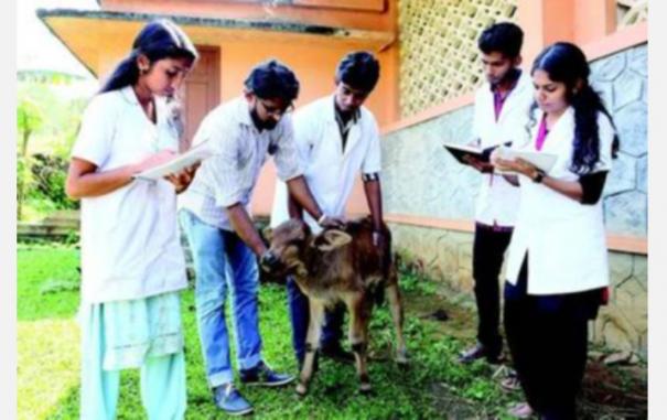 கால்நடை மருத்துவ படிப்புகள் விண்ணப்பிக்க அவகாசம் நீட்டிப்பு முழு விவரங்கள்