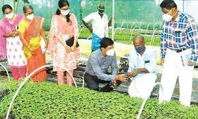 25% subsidy for agriculture graduates to start self-employment