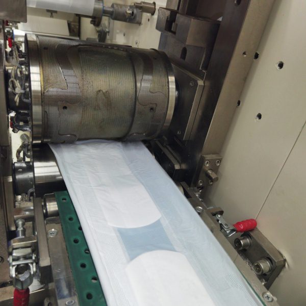 A sanitary napkin business that can make millions of profits