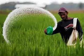 Instructions to renew registration in Prime Minister's Farmers' Financial Support Scheme by Dec. 15