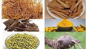 Free Herbal Preparation Training - Madurai