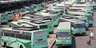 Ahead of Pongal festival, 16,932 special buses have been launched across Tamil Nadu and a hotline for complaints has also been released.