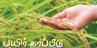 Farmers can enroll in crop insurance scheme