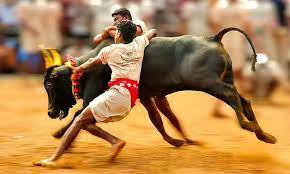 Online booking is essential for Madurai jallikattu players