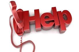 Toll free helpline number for stray dog nuisance in Chennai Municipal Corporation areas