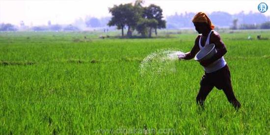 உளுந்து பயிர் காப்பீடு செய்ய 15 ஆம் தேதி கடைசி நாள் - திருவாரூர்