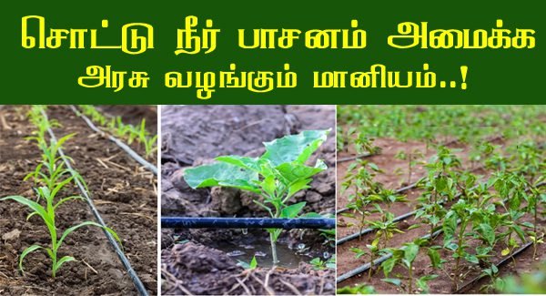 சொட்டுநீா் பாசனம் அமைக்க 100 சதவீத மானியம்