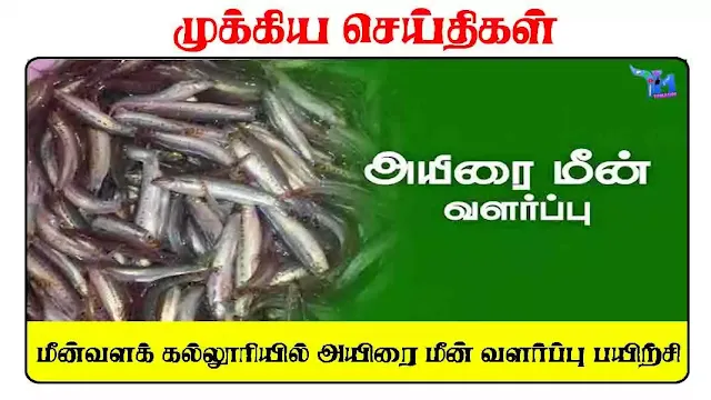 மீன்வளக் கல்லூரியில் அயிரை மீன் வளர்ப்பு பயிற்சி