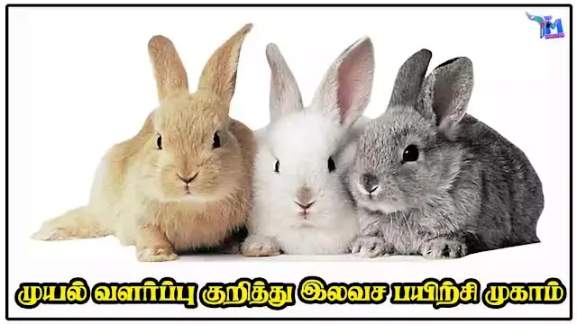 முயல் வளர்ப்பு குறித்து இலவச பயிற்சி முகாம்