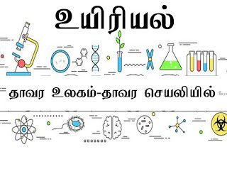 plant world in the plant processor 9th new school book 1853318037 Tamil Mixer Education