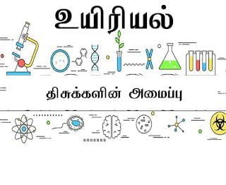 ஊட்டச்சத்து மற்றும் ஆரோக்கியம் 9th New School Book