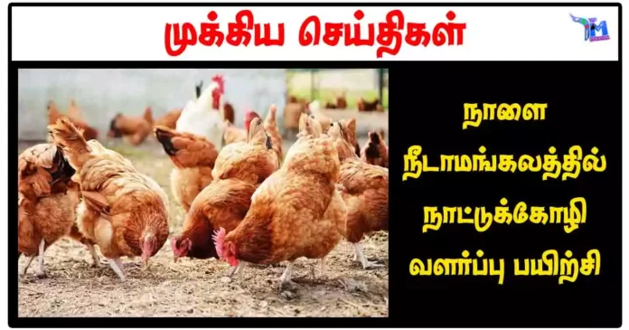 நாளை நீடாமங்கலத்தில் நாட்டுக்கோழி வளர்ப்பு பயிற்சி