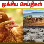 வெளிநாடுகளில் மருத்துவம் படித்து முடித்த மாணவர்கள் தமிழகத்தில் ஓராண்டு பயிற்சி பெற விண்ணப்பிக்கலாம்