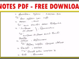 Tamil 800 Important Questions Shortcuts PDF