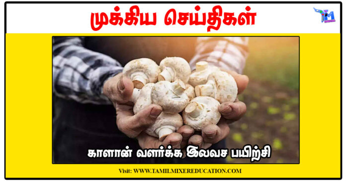 காளான் வளர்க்க இலவச பயிற்சி